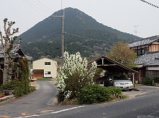 写真拡大
