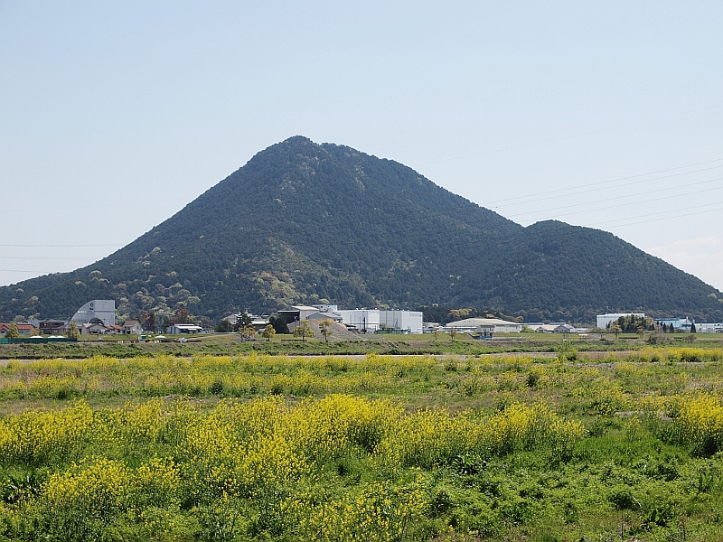 写真拡大