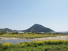 写真拡大
