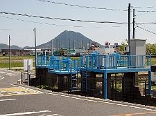 写真拡大