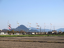 写真拡大