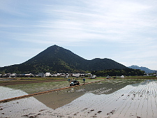 写真拡大