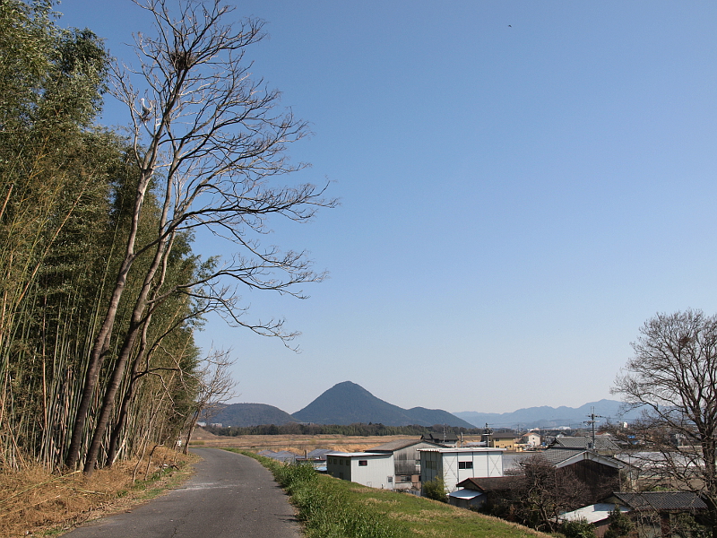 写真拡大