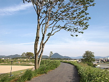 写真拡大