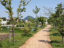 写真拡大