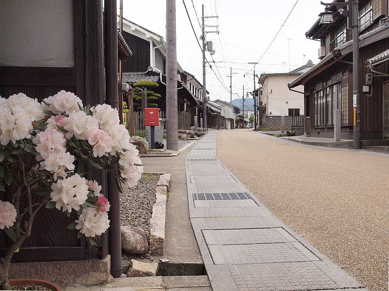 写真拡大