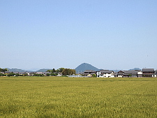 写真拡大