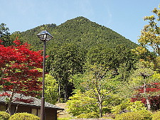 写真拡大