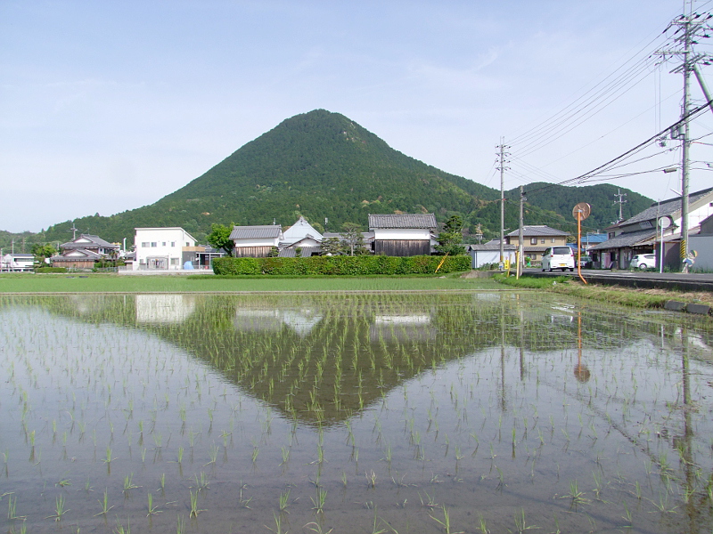写真拡大