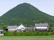 写真拡大