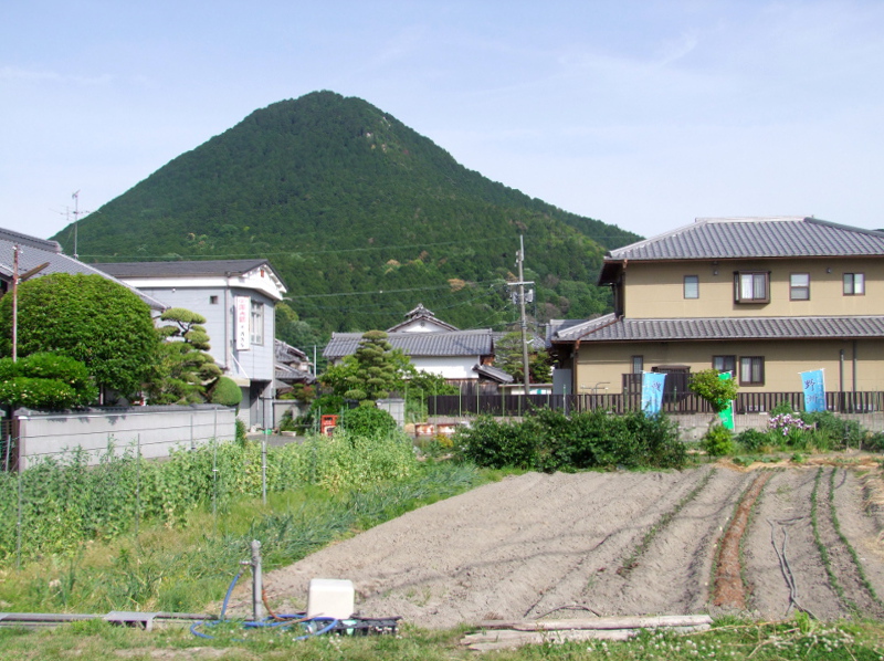 写真拡大