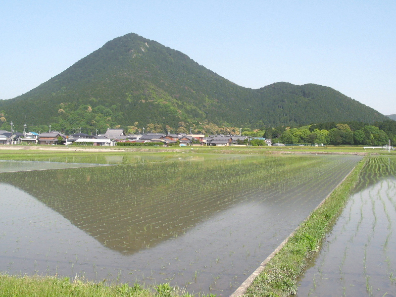 写真拡大