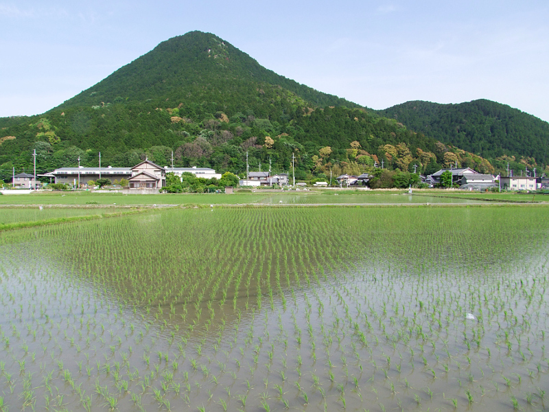 写真拡大