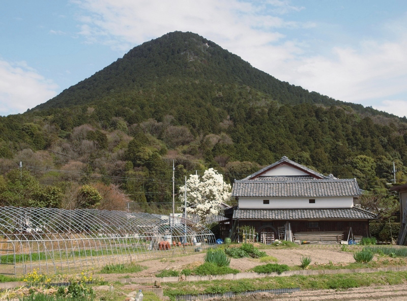 写真拡大