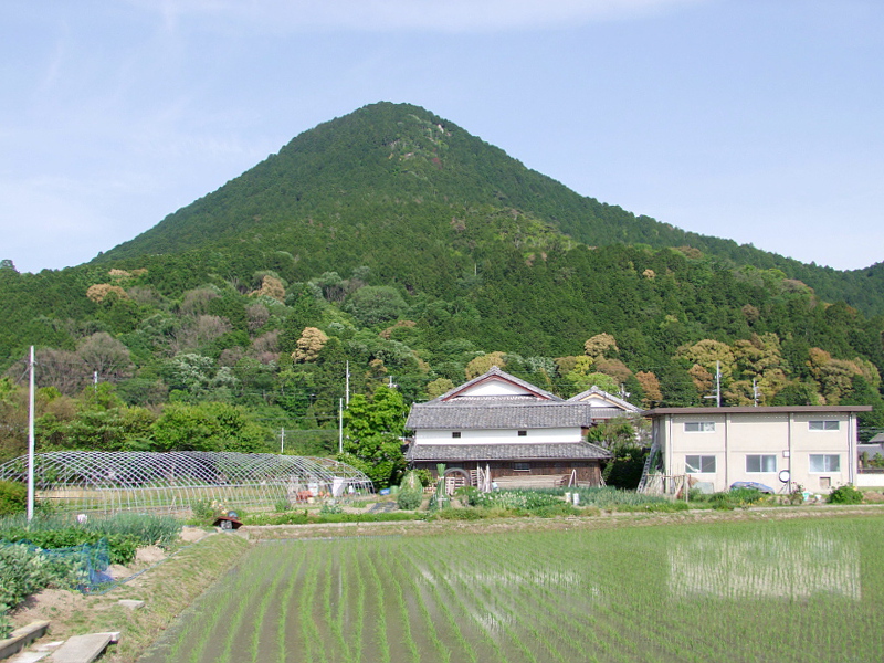写真拡大