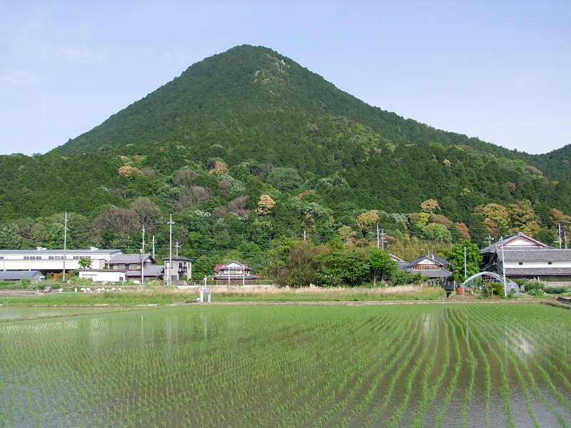 写真拡大