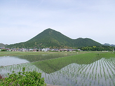 写真拡大