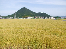 写真拡大