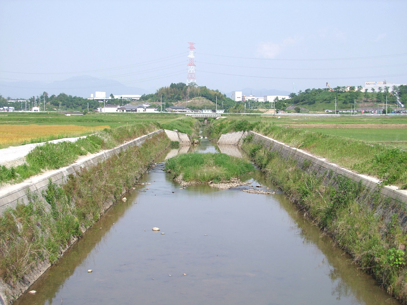 写真拡大