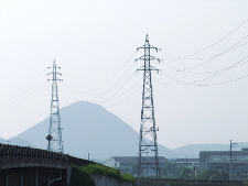 写真拡大