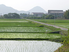 写真拡大