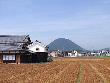 写真拡大