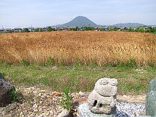 写真拡大