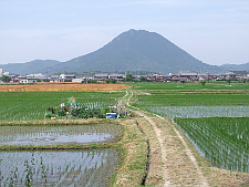 写真拡大