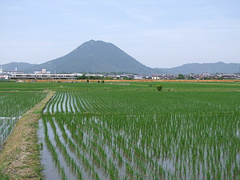 写真拡大