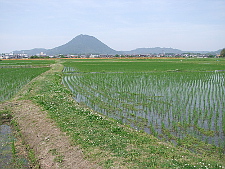 写真拡大