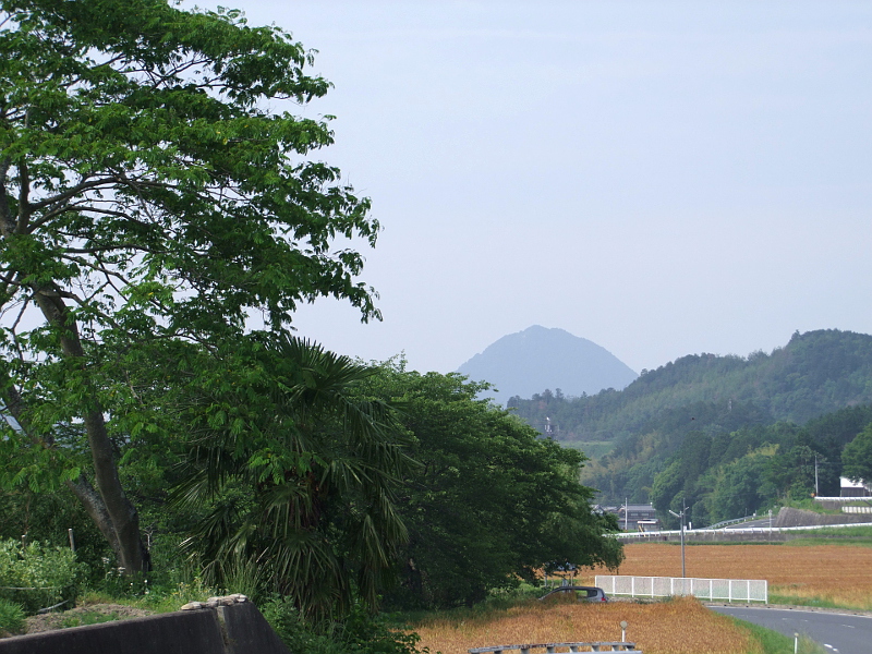 写真拡大
