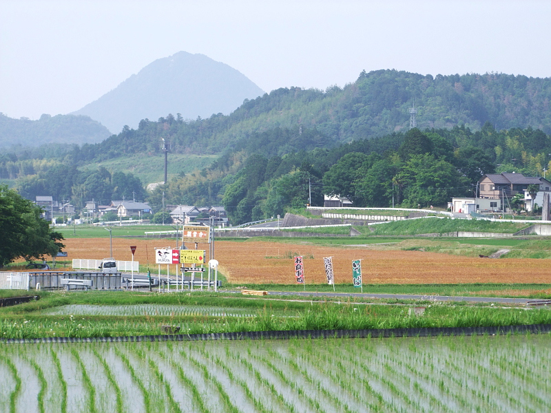 写真拡大