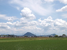 写真拡大