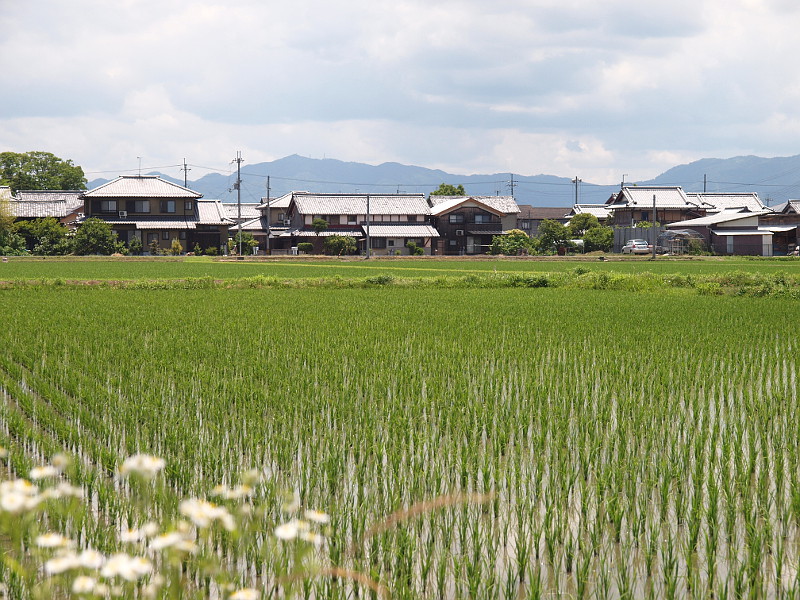 写真拡大