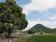 写真拡大