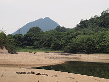 写真拡大