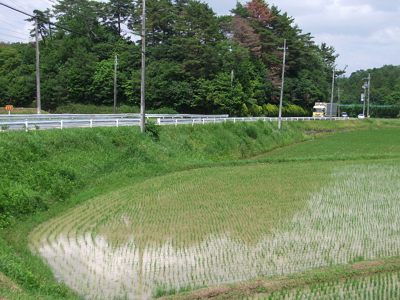 写真拡大