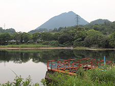 写真拡大