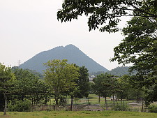写真拡大