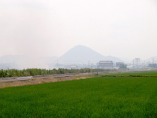 写真拡大