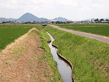写真拡大