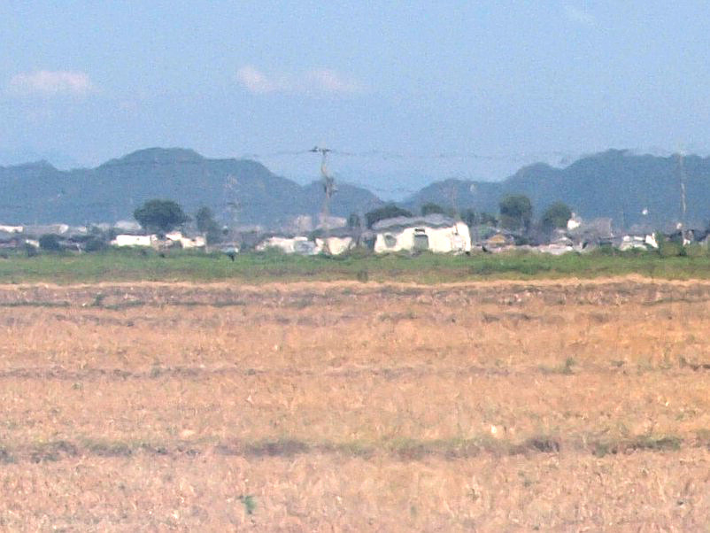 写真拡大