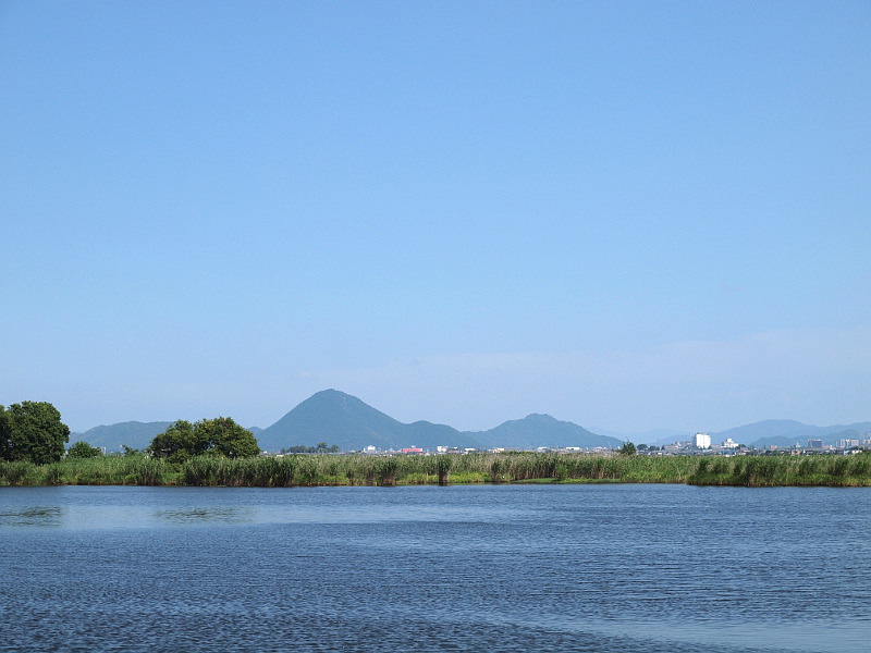写真拡大