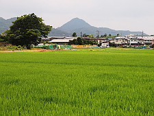 写真拡大