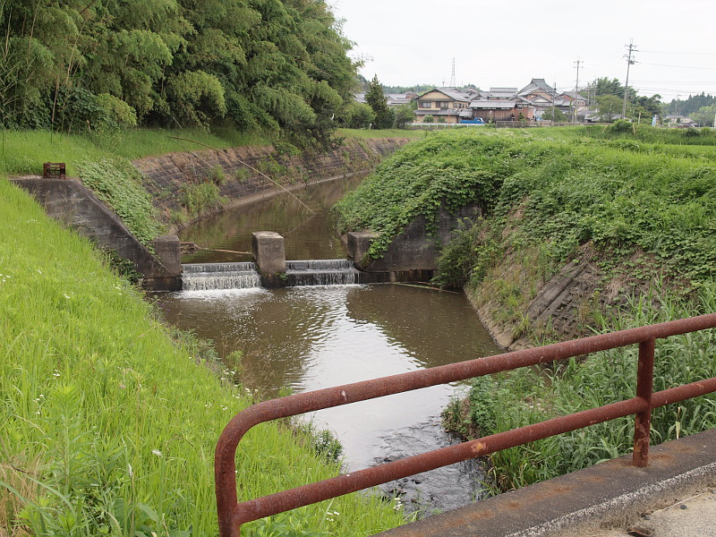 写真拡大