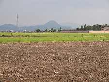 写真拡大