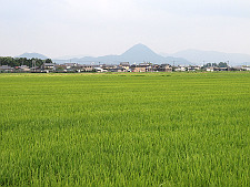 写真拡大