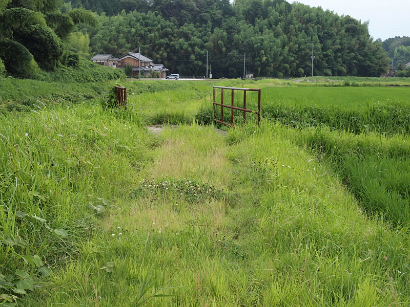 写真拡大