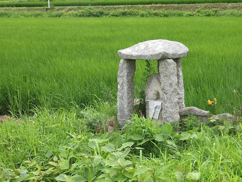 写真拡大