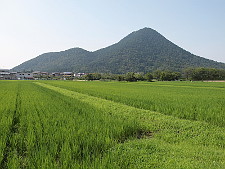 写真拡大